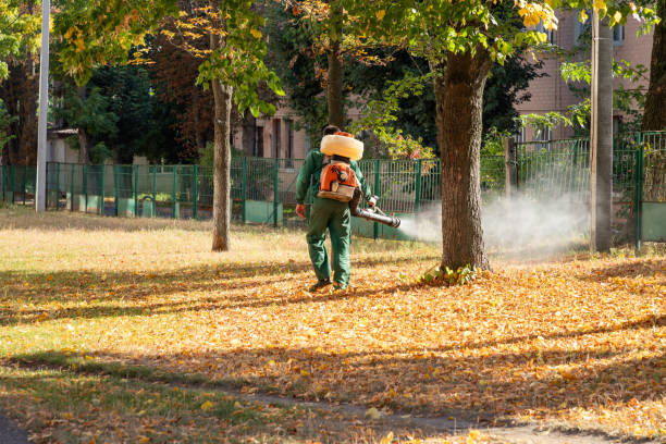 Best Affordable Pest Control Services  in Peppermill Village, MD