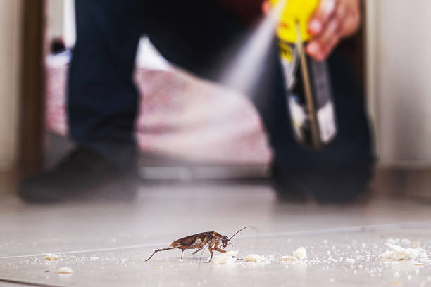 Best Residential Pest Control  in Peppermill Village, MD